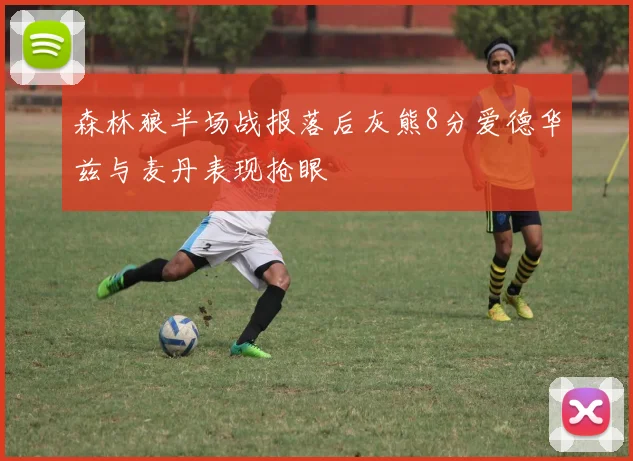 森林狼半场战报落后灰熊8分爱德华兹与麦丹表现抢眼