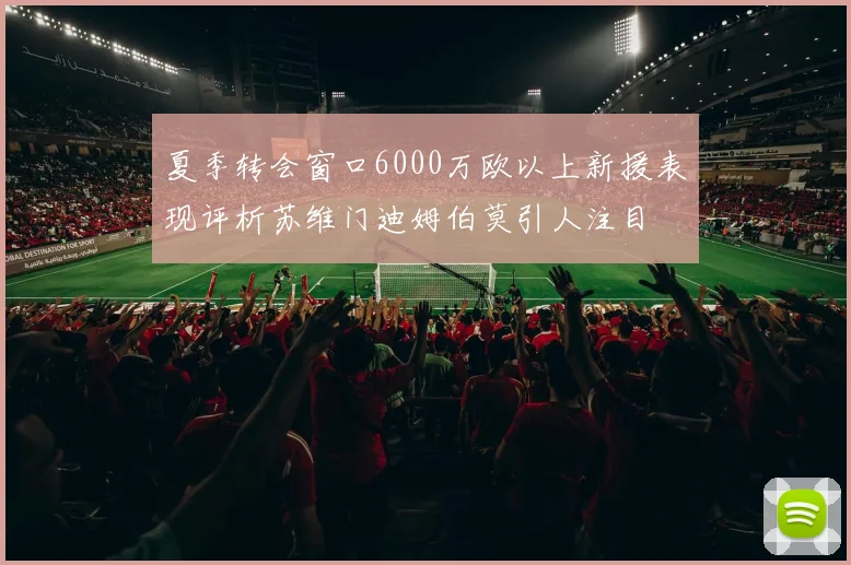夏季转会窗口6000万欧以上新援表现评析苏维门迪姆伯莫引人注目