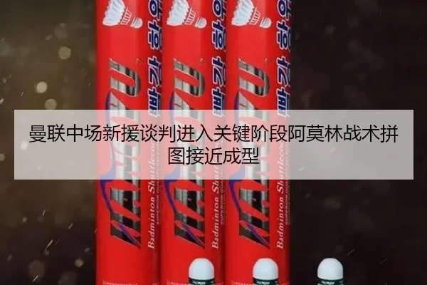 曼联中场新援谈判进入关键阶段阿莫林战术拼图接近成型(milan)